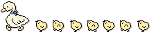 ducky-with-chickies.gif