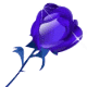 104.gif