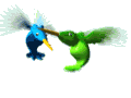 kolibri_004.gif