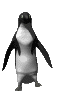 penguinDanc4.gif