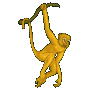 aap11.gif