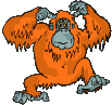 aap13.gif