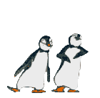 pingo2t.gif