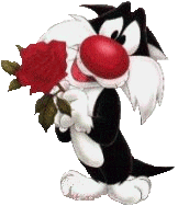 cat011.gif
