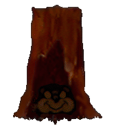 racs9.gif