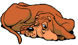 hund.gif