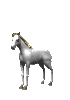 rearCLR.gif