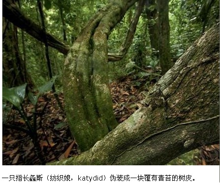 QQ截图20120606212250.jpg