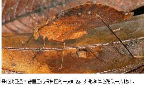 QQ截图20120606211746.jpg