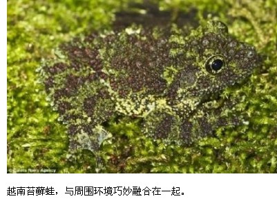 QQ截图20120606211946.jpg