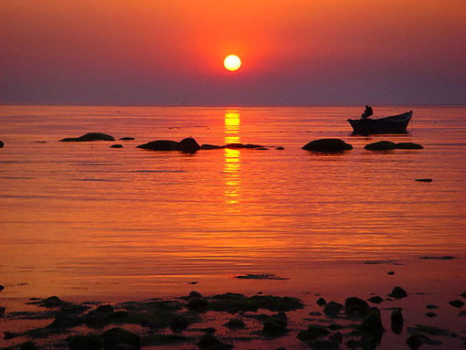 20104922502373499.jpg