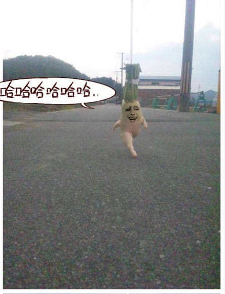 psb5.jpg