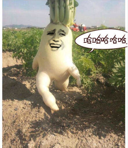 psb7.jpg