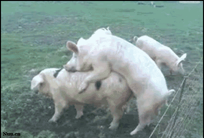 460g.gif