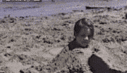 460t.gif