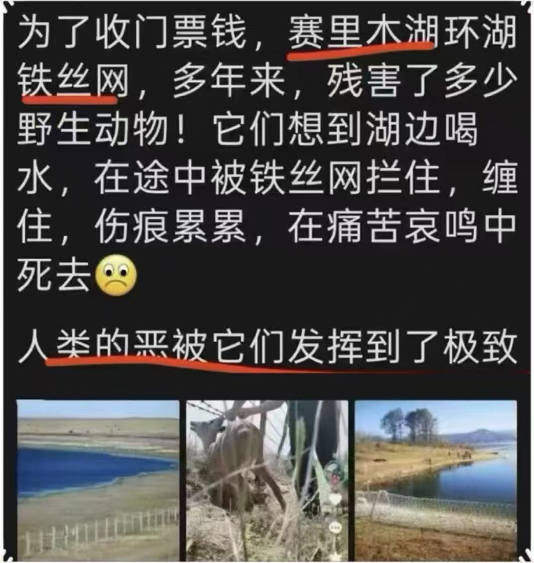 1c74077f50c2cbd79414baf56f64cfa8.jpg