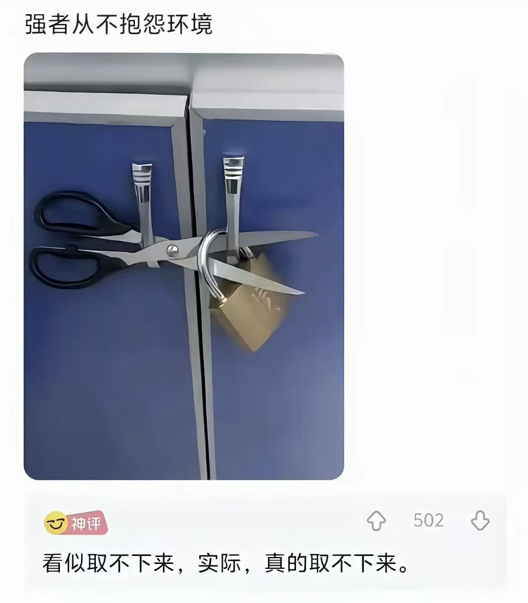 4ac73503cb20611d11f4cb49ec710c8f.jpg
